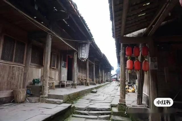沙漠避难所